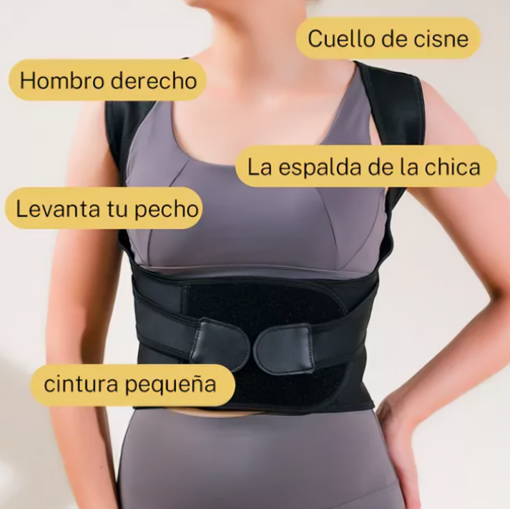 Corrector De Postura
